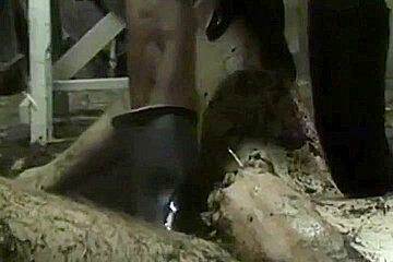 Homo Porn Recent Venyveras Compilation 720p