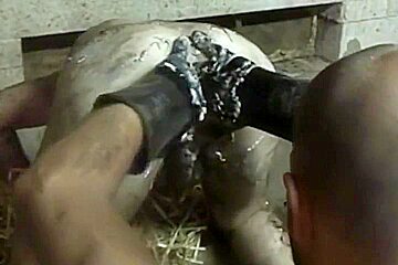 Homo Porn Recent Venyveras Compilation 720p