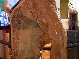 Hot Sweetheart Gets Down On All Fours And Gets Banged Hard