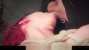 Human Sex Toy