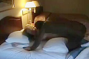 In hotel con il bull