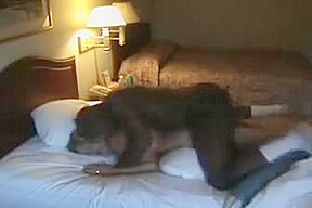 In hotel con il bull