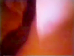 Inch Root