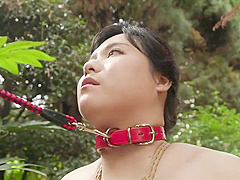 Japanese Bondage Pt464