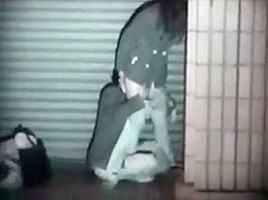 Japanese outdoor sex 0246-01
