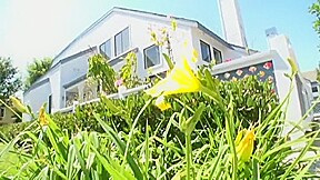 KK-082 Haley Cummings AMWF