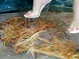 Lady L crush crush bascet with 24cm extreme high heels