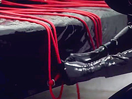 Latex transformation (6of6)
