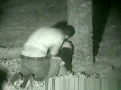 Licking pussy in public