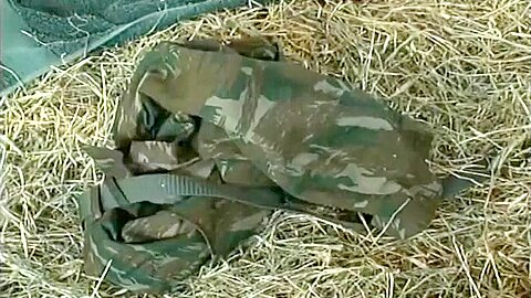 Military Studs Have Hot Anal In The Barn