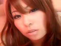 Mini pincher Mini Kousaka hot blowjob with cum on hands!