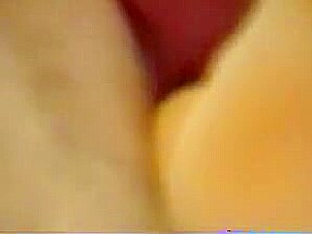 Mirela 7