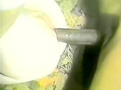 Nitobe's Cuckold Vault: That is fat piece of BBC inside of her!