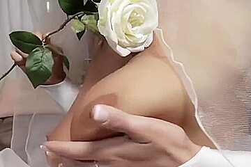 Oldmans Virgin Bride