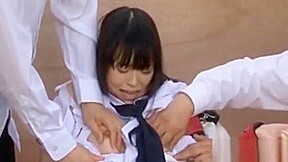 Pal Drills Japanese Chick