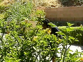 Plays With Giant Cock While Her Boyfriend Is At Tennis