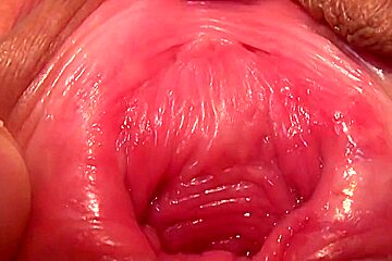 Please look carefully over y pussy 10 wmv