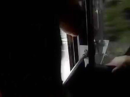 Porno From Various Events Is So Weird And Smutty At Once