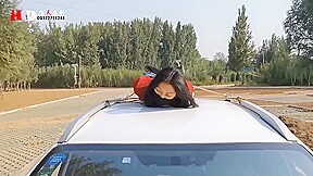 Road Trip