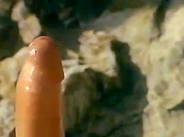 Scenes at a California beach