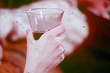 Sexual Insanity (1974)