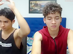 Sexy Twinks In Web-cam