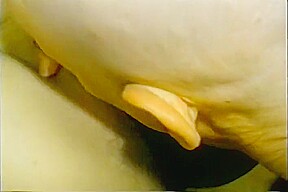 Stupid Arab Whore Lets A Couple Of Big Cocks Fuck Her And Cum