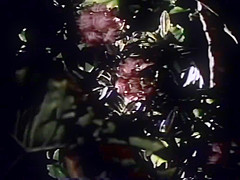 T0MB0Y (1984) - (Movie Full) - MKX