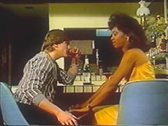 Traci Harlequin Affair (1985)