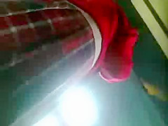 UPPIS COLEGIALA