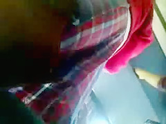 UPPIS COLEGIALA