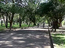 Venyveras 14