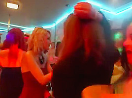 Wacky Kittens Get Fully Crazy And Naked At Hardcore Party