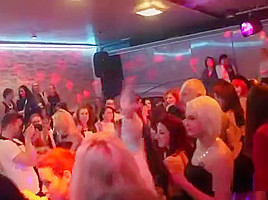 Wacky Kittens Get Fully Crazy And Naked At Hardcore Party