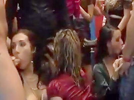 Where The Fuck Is This Club?