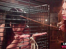Whipping busty lezdom fucks Asian sub with strapon