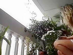 cuckold