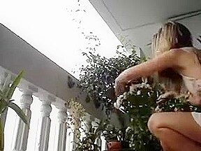 cuckold