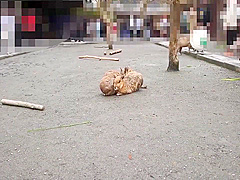 台灣性愛旅行-宜蘭篇完整版在of 22 Min