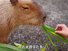 台灣性愛旅行-宜蘭篇完整版在of 22 Min