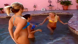 group of blonde and brunes