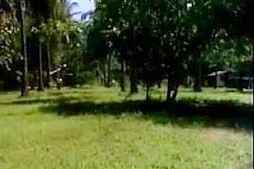 maharot 8