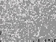 mina--02_R wmv