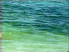 surf surf revolution2