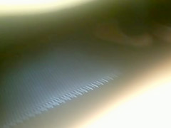 vewrw