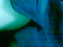 vewrw