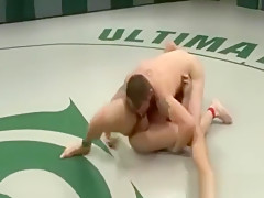wrestle studs